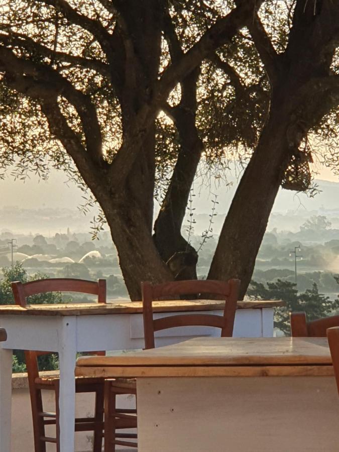 Nacchinono Bed and Breakfast Olbia Buitenkant foto
