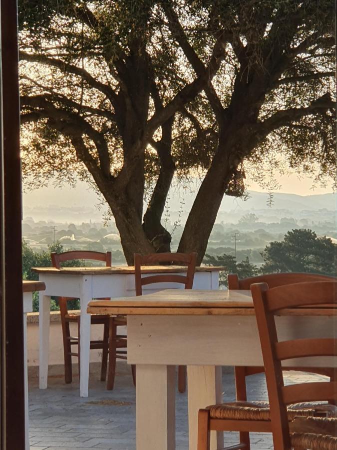 Nacchinono Bed and Breakfast Olbia Buitenkant foto