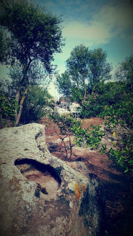 Nacchinono Bed and Breakfast Olbia Buitenkant foto