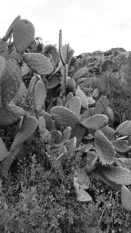 Nacchinono Bed and Breakfast Olbia Buitenkant foto