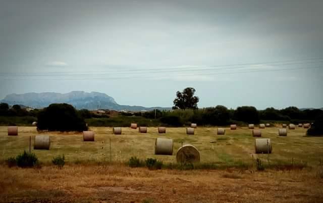 Nacchinono Bed and Breakfast Olbia Buitenkant foto