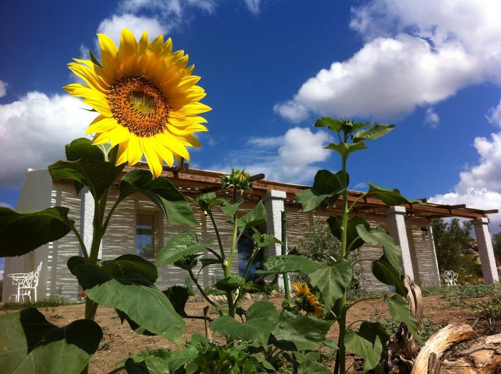 Nacchinono Bed and Breakfast Olbia Buitenkant foto